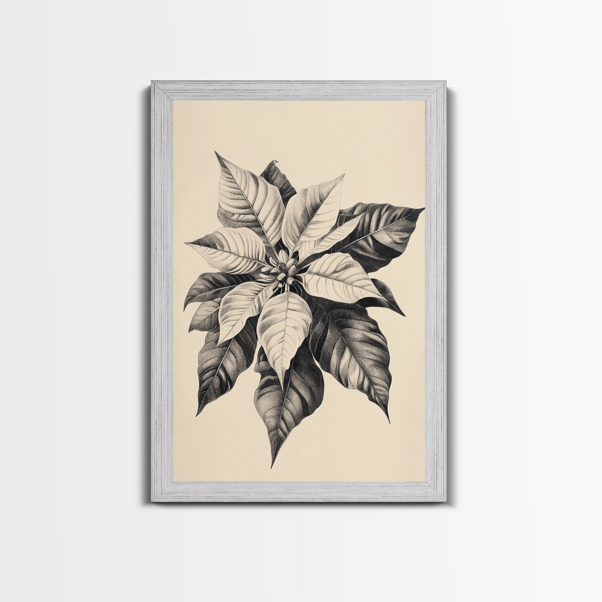 Poinsetta Canvas Print - Framed Canvas - Minimalist Christmas Art - Boho Christmas Art - Rustic Christmas Art