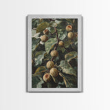 Fig Painting Print - Framed Canvas - Fig Oil Painting, Fig Painting, Kitchen Decor, Rustic Farmhouse, Minimalist Home Decor