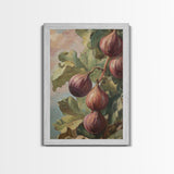 Figs On The Vine Framed Canvas Print - Kitchen Wall Art - Figs Painting