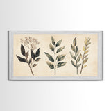 Boho Botanical Sketch Print, Botanical Wall Art, Framed Canvas Print, Minimalist Pencil Sketch Wall Art, Minimalist Home Decor, Living Room Art
