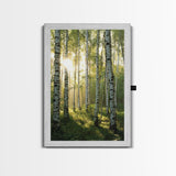 Morning Sunlight Birch Tree Art Canvas Print Natural Landscape Gift Rustic Farmhouse Vertical Artwork Home Decor Above Bed