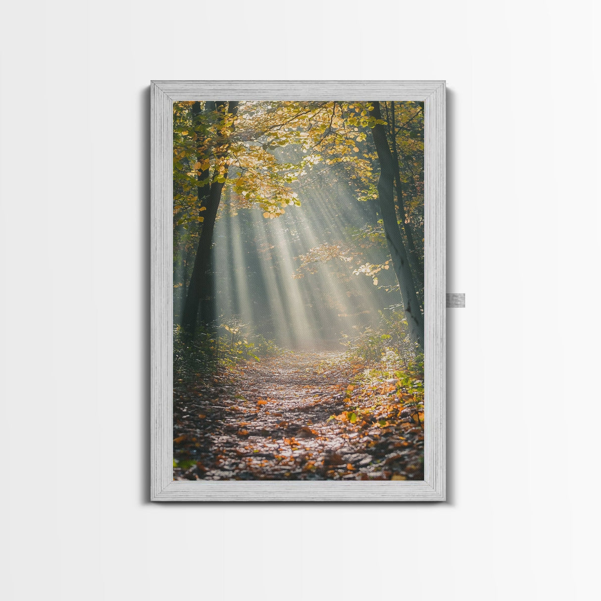 Sunlit Autumn Forest Path Canvas Print, Fall Wall Art, Nature Photography Print, Cozy Home Decor, Rustic Living Room Art, Cabin Wall Art