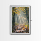 Sunlit Autumn Forest Path Canvas Print, Fall Wall Art, Nature Photography Print, Cozy Home Decor, Rustic Living Room Art, Cabin Wall Art