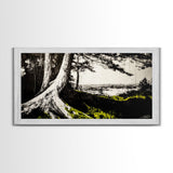 Forest Tree, Ocean View, Coastal Landscape, Canvas Print, Nature Wall Art, Black and White Art, Cabin Wall Decor, Rustic Wall Art