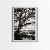 Tree Silhouette, Black White Art, Canvas Print, Dramatic Landscape, Coastal Wall Art, Nature Scene, Monochrome Decor, Minimalist Art