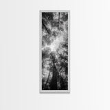 Forest Canopy, Nature Perspective, Tranquil Trees, Black and White, Framed Canvas Print, Cabin Wall Art, Scandinavian Decor, Minimalist Style