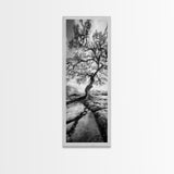 Wisdom Oak Tree, Forest Roots, Ancient Energy, Framed Canvas Print, Rustic Living Room Wall Art, Nature Inspired, Boho Woodland Art