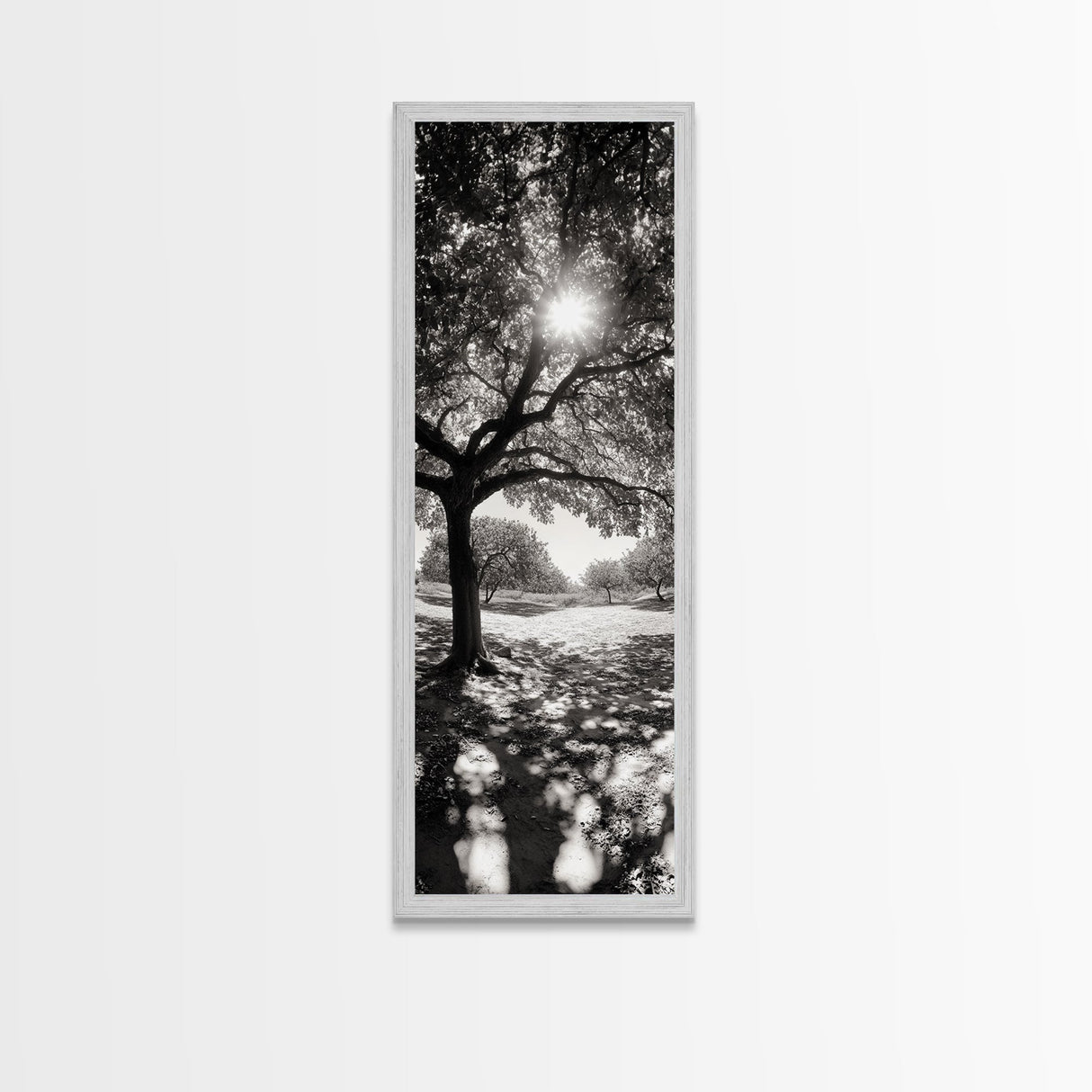 Sunlight Tree, Autumn Glow, Nature Shadowplay, Black White Forest Scene, Canvas Print, Fall Living Room Art, Boho Earthy Wall Decor