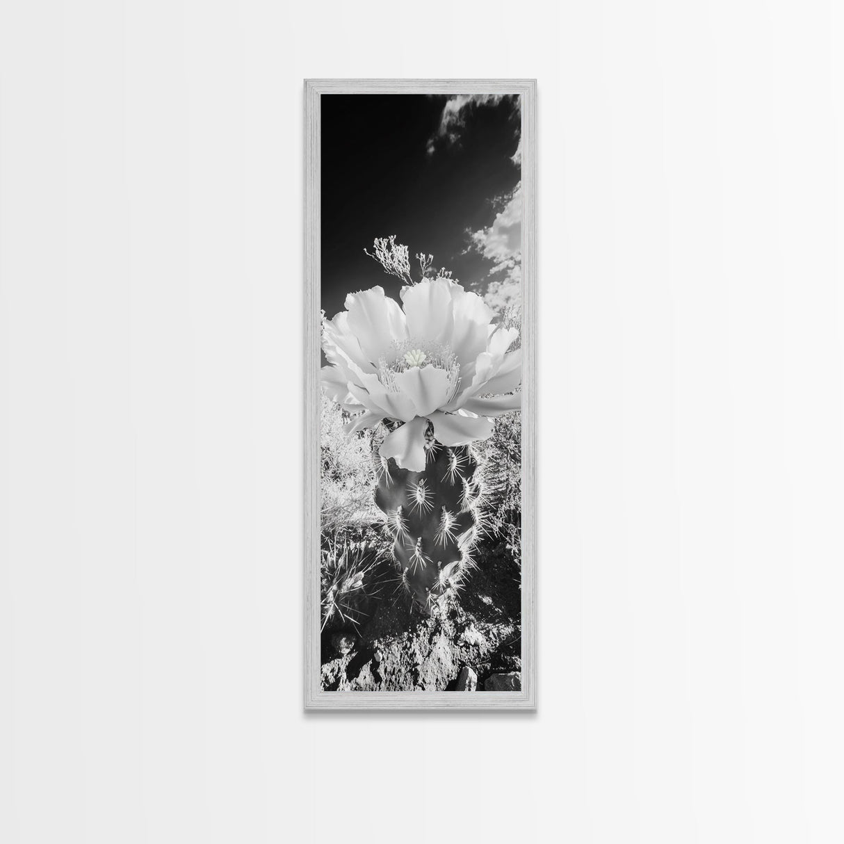 Desert Bloom Cactus, Southwest Art, Nature Floral Print, Cactus Photography, Framed Canvas Print, Kitchen Wall Art, Boho Wall Decor