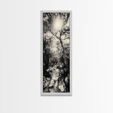 Forest Path, Sunburst Trees, Woodland Trail, Nature Light Framed Canvas Print, Boho Entryway Wall Art, Autumn Rustic Home Decor