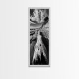 Driftwood Beach, Ocean Texture, Nature Scene, Canvas Print, Rustic Beach Decor, Coastal Wall Art, Bathroom Art, Moody Seaside Print