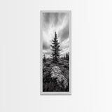 Lone Pine Tree, Forest Mood, Wilderness Art, Framed Canvas Print, Minimalist Wall Decor, Cabin Art, Neutral Fall Tones, Nature Lover Gift
