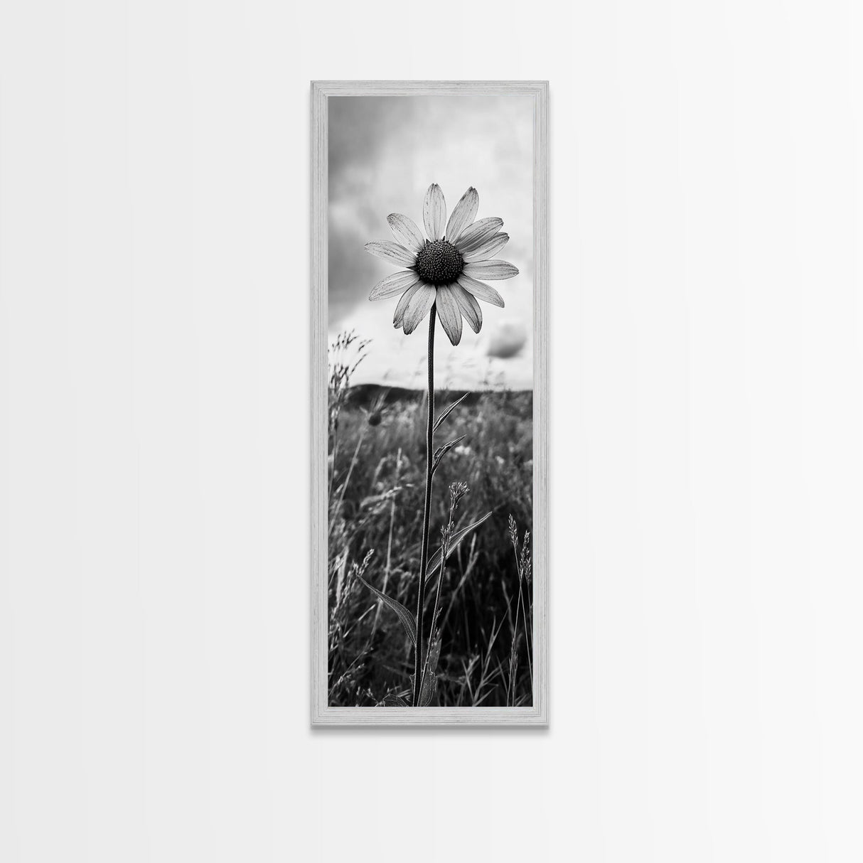 Single Daisy Bloom, Minimalist Botanical, Black White Flower, Framed Canvas Print, Nature Inspired Art, Bedroom Wall Decor, Modern Farmhouse