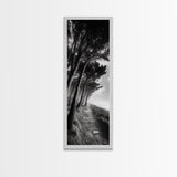 Windy Forest Trail, Dark Coastal Trees, Atmospheric Nature, Framed Canvas Print, Fall Living Room Wall Art, Moody Landscape Aesthetic