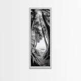 Forest Path, Ocean View, Tall Trees, Canvas Print, Black and White Nature Art, Entryway Wall Art, Rustic Woodland Aesthetic, Bedroom Wall Art