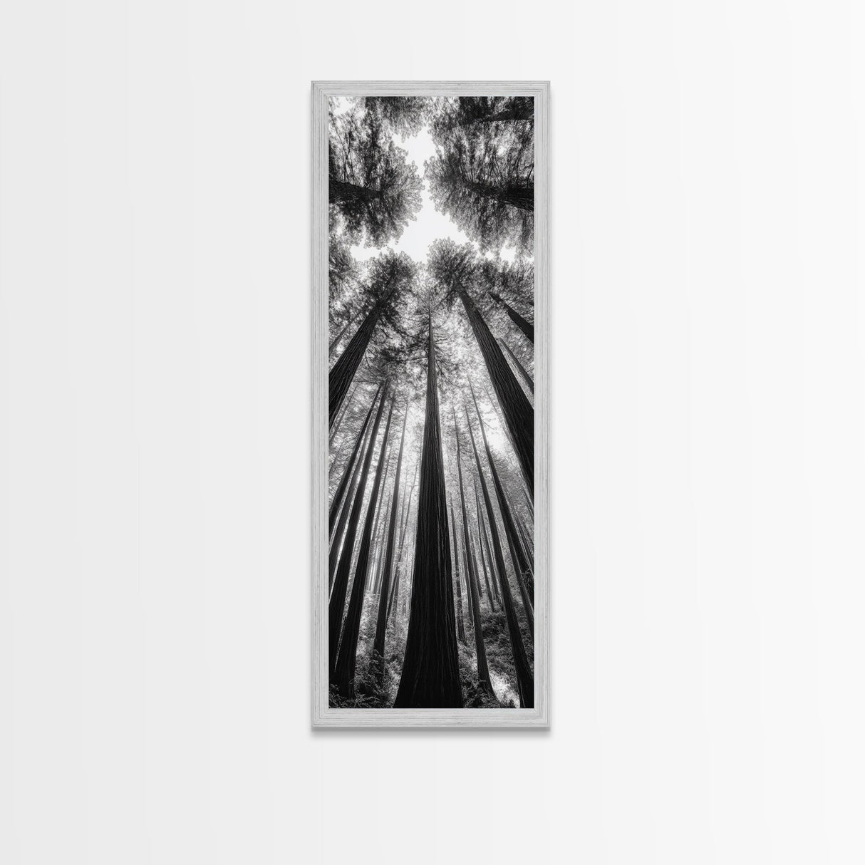 Redwood Forest, Sunlight Trees, Nature Canopy, Canvas Print, Serene Woodland Art, Cabin Wall Decor, Black and White Forest Art, Bedroom Wall Art