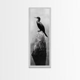 Cormorant Bird, Driftwood Perch, Moody Sky, Framed Canvas Print, Coastal Wildlife Wall Art, Nature Lover Gift, Rustic Room Decor