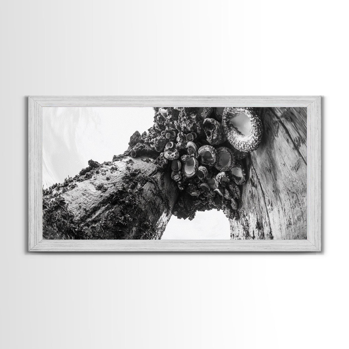 Coastal Texture, Tidepool Abstract, Modern Ocean Nature, Framed Canvas Print, Bathroom Wall Art, Marine Minimalist Photography