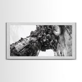 Coastal Texture, Tidepool Abstract, Modern Ocean Nature, Framed Canvas Print, Bathroom Wall Art, Marine Minimalist Photography