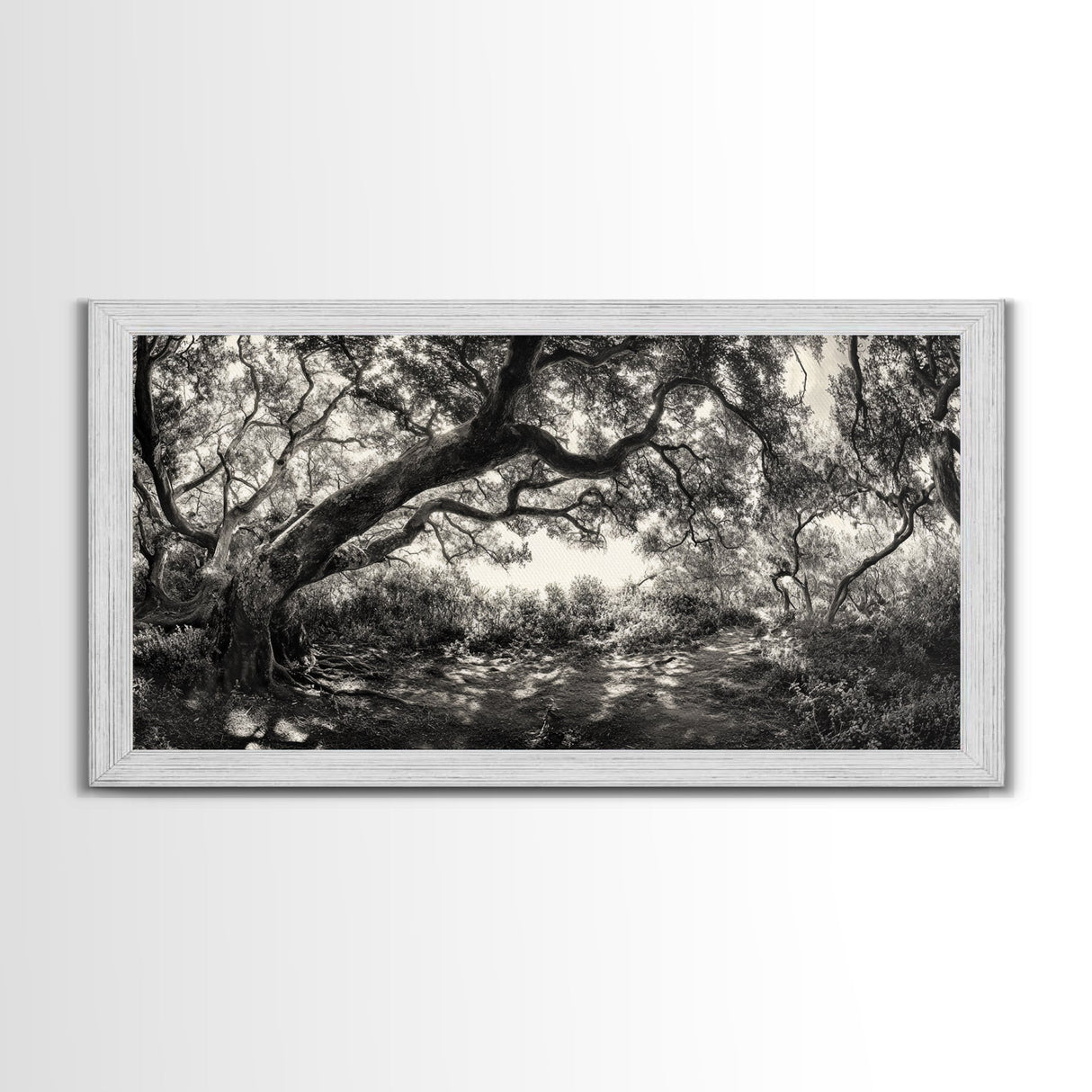 Twisted Forest Canopy, Ancient Trees, Mystical Woodland, Canvas Print, Boho Living Room Art, Black and White Nature Print, Cabin Decor