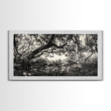 Twisted Forest Canopy, Ancient Trees, Mystical Woodland, Canvas Print, Boho Living Room Art, Black and White Nature Print, Cabin Decor