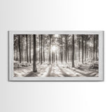 Winter Pine Forest, Sunlight Snow Trees, Nature Landscape Photography, Framed Canvas Print, Cabin Decor, Minimalist Wall Art