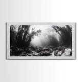 Kelp Forest Rays, Underwater Light, Black and White Ocean Scene, Framed Canvas Print, Nature Wall Art, Coastal Bathroom Decor