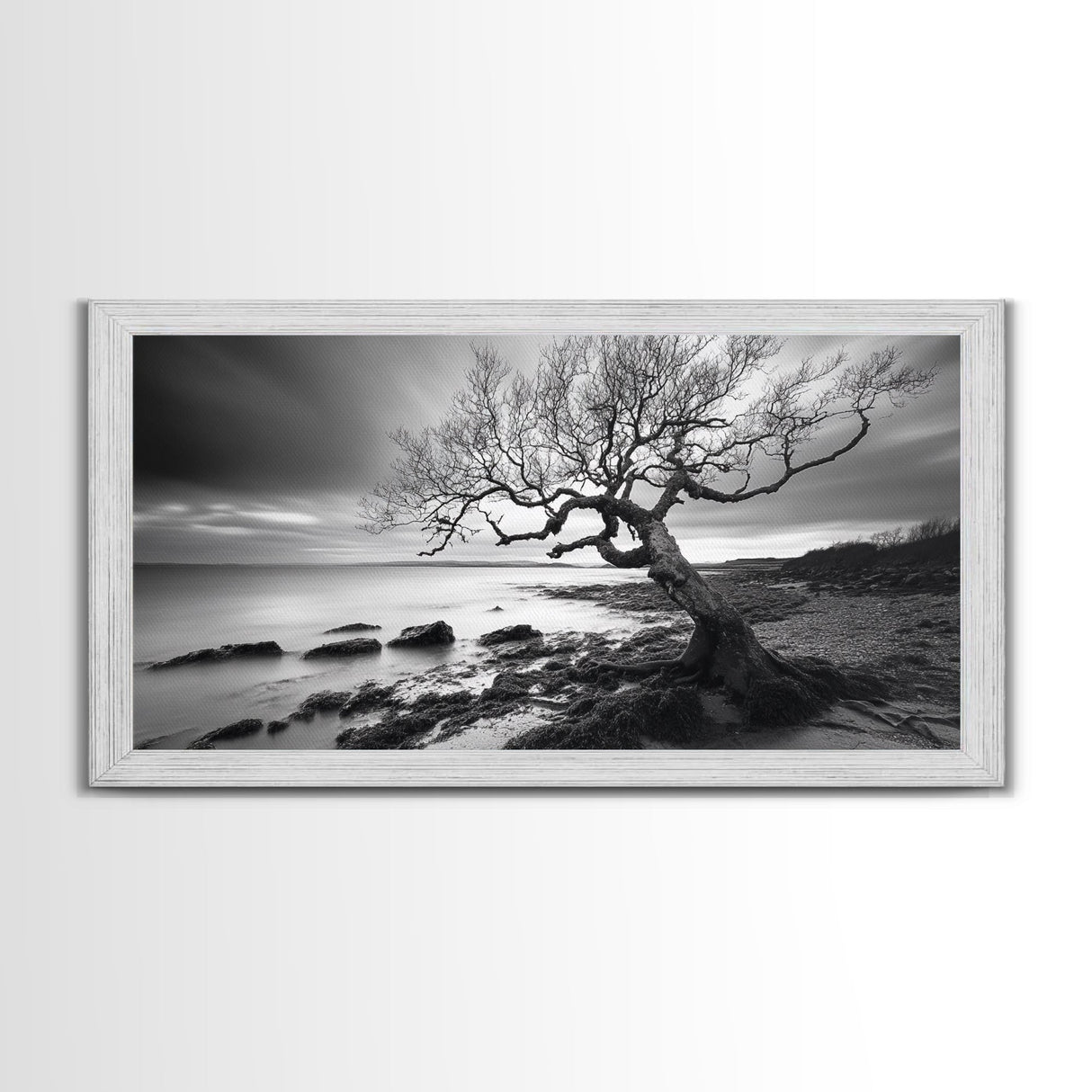 Coastal Tree, Tidal Shore, Windswept Beauty, Natural Balance, Framed Canvas Print, Bedroom Wall Art, Boho Decor, Serene Seascape