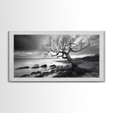 Coastal Tree, Tidal Shore, Windswept Beauty, Natural Balance, Framed Canvas Print, Bedroom Wall Art, Boho Decor, Serene Seascape