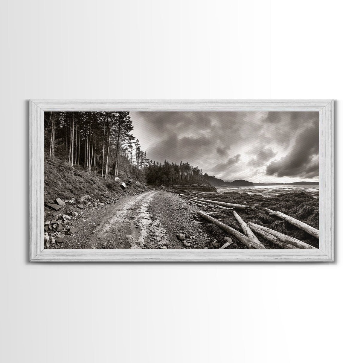 Forest Ocean Trail, Stormy Beach Scene, Driftwood Pathway, Framed Canvas Print, Cabin Entryway or Nature-Inspired Living Room Art