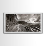 Forest Ocean Trail, Stormy Beach Scene, Driftwood Pathway, Framed Canvas Print, Cabin Entryway or Nature-Inspired Living Room Art