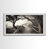 Ocean Cliff Path, Framed Trail Trees, Coastal Escape Scene, Framed Canvas Print, Boho Bedroom or Peaceful Hallway Wall Art, Entryway Accent