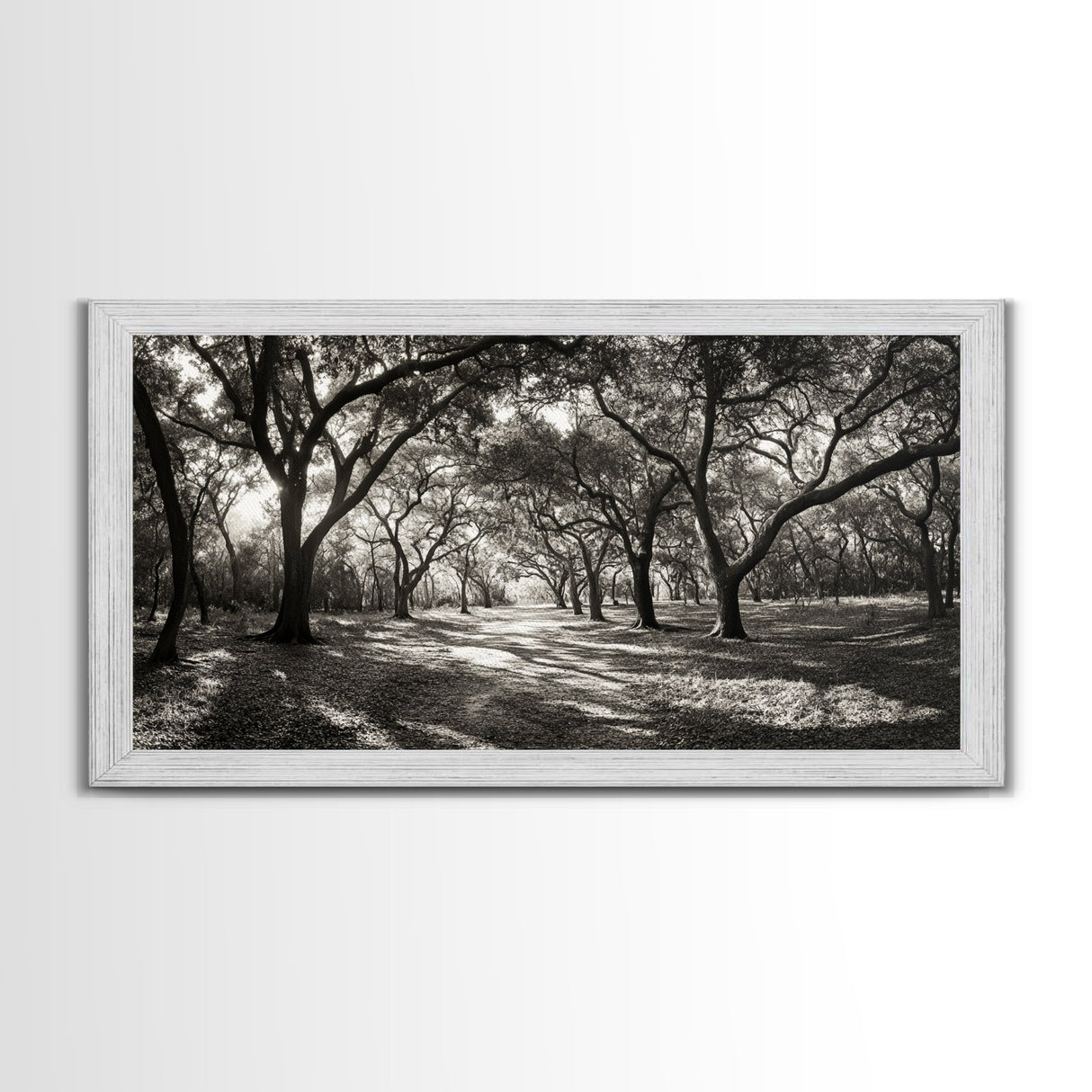 Oak Tree Path, Autumn Forest Glow, Nature Trail Photography, Framed Canvas Print, Hallway Wall Art, Earthy Decor, Woodland Art