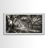 Oak Tree Path, Autumn Forest Glow, Nature Trail Photography, Framed Canvas Print, Hallway Wall Art, Earthy Decor, Woodland Art