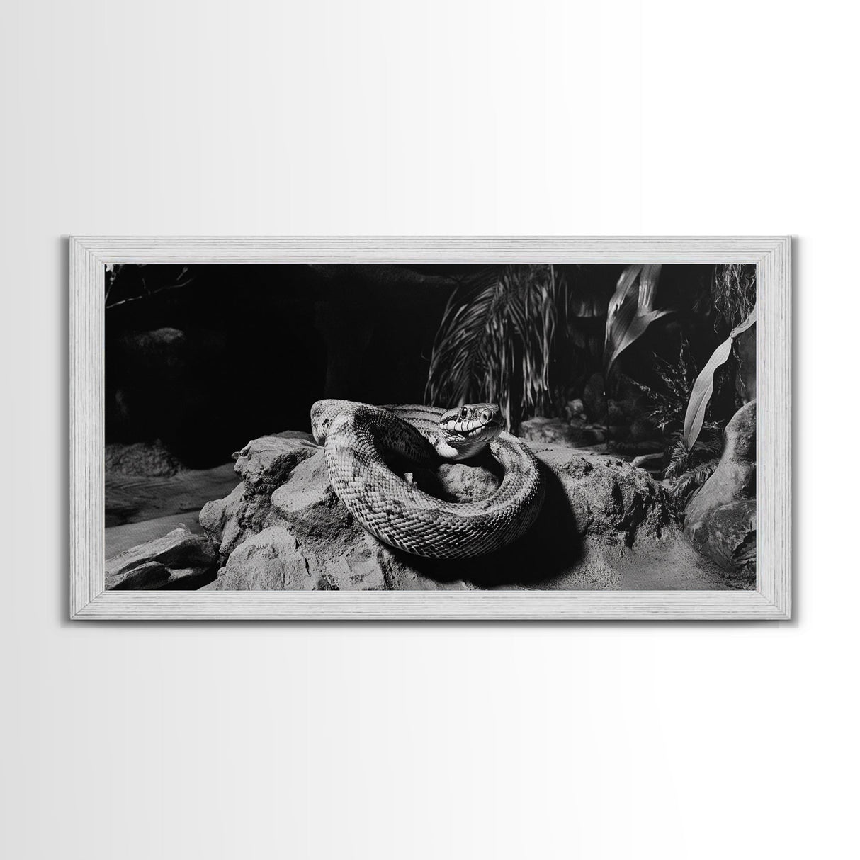 Jungle Snake Scene, Reptile Animal Art, Bold Black and White, Framed Canvas Print, Wildlife Decor, Man Cave or Study Wall Art