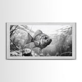 Underwater Fish, Nature Photography, Lake Life Scene, Freshwater Animal, Framed Canvas Print, Bathroom Wall Art, Minimalist Decor