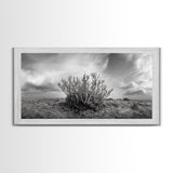 Desert Coral Plant, Dry Earth Botanical, Surreal Nature Texture, Minimal Wild Scene, Canvas Print, Office Wall Art, Earthy Decor