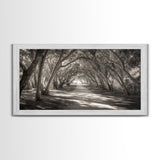 Tree Tunnel Trail, Light Dappled Path, Forest Archway Scene, Framed Canvas Print, Hallway Wall Art, Boho Natural Decor, Living Room Wall Art