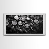 Seashell Close-Up, Ocean Texture Art, Nautical Beach Shells, Earthy Tones Decor, Framed Canvas Print, Bathroom Wall Art, Coastal Style