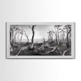 Burnt Forest, Moody Trees, Coastal Landscape, Nature Scene, Framed Canvas Print, Rustic Wall Art, Boho Decor, Fall Home Aesthetic