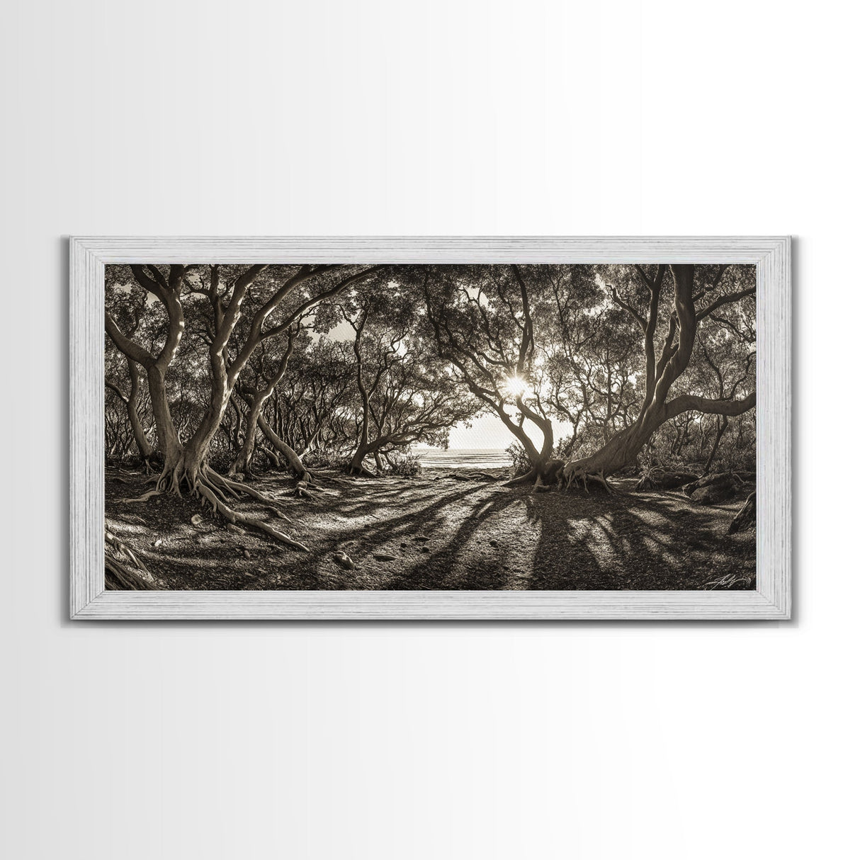 Enchanted Forest Light, Tree Shadows, Nature Landscape, Framed Canvas Print, Rustic Wall Art, Entryway Woodland Decor, Boho Forest Print