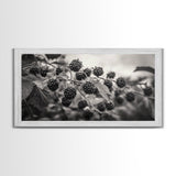 Blackberries on Vine, Farmhouse Kitchen Art, Rustic Fruit Wall Decor, Country Style, Autumn Botanical Photography, Canvas Print