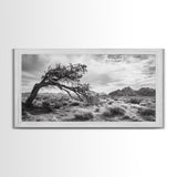 Twisted Tree, Desert Landscape, Surreal Nature, Canvas Print, Rustic Western Decor, Living Room Wall Art, Moody Earth Tones, Fall Aesthetic
