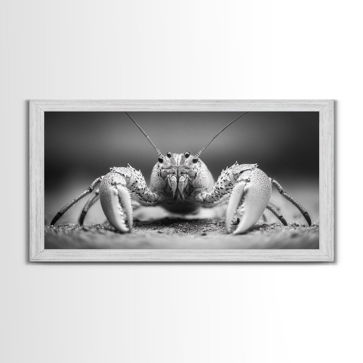 Hermit Crab, Close-Up, Ocean Creature, Monochrome Nature, Framed Canvas Print, Marine Wall Decor, Coastal Kitchen Wall Art, Entryway Accent