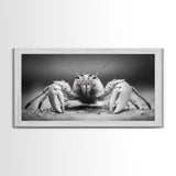 Hermit Crab, Close-Up, Ocean Creature, Monochrome Nature, Framed Canvas Print, Marine Wall Decor, Coastal Kitchen Wall Art, Entryway Accent