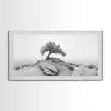 Solitary Tree, Minimalist Nature, Desert Landscape, Canvas Print, Modern Home Decor, Neutral Wall Art, Entryway Accent, Calm Mood Art