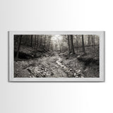 Forest Stream, Tranquil Woodland Path, Autumn Nature Photography, Framed Canvas Print, Rustic Cabin Decor, Living Room Wall Art