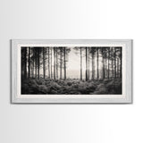 Forest Light Scene, Tall Trees Shadows, Nature Mist Pathway, Framed Canvas Print, Woodland Bedroom Art, Boho Rustic Wall Decor