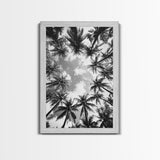 Palm Tree Sky, Tropical Canopy, Black and White Island View, Jungle Overhead Scene, Framed Canvas Print, Bathroom Wall Art, Beach Boho Decor