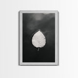 Floating Leaf, Still Water, Nature Simplicity, Autumn Calm, Canvas Print, Minimalist Wall Art, Bathroom Decor, Scandinavian Fall Style